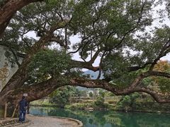 -上坦村