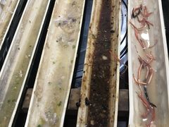 -胡须哥网红竹筒菜