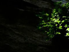 -洛阳白云山景区