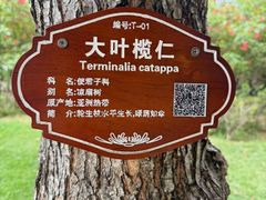 -三亚亚龙湾五号度假别墅酒店
