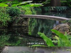 -广州兰圃