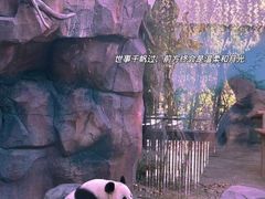 -苏州太湖国家湿地公园