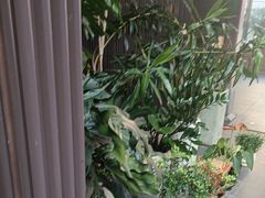 -阿伟海鲜楼·福建菜(涵江店)