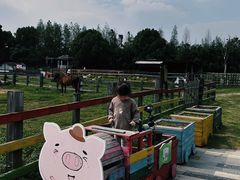 -田园东方蜜桃村的田野营地