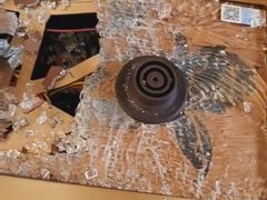 -东亚家具商城(北园立交桥店)