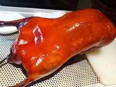 -小吊梨汤·北京菜·烤鸭(白石桥南店)