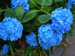 -常州古运河南大街文化旅游区-人民公园