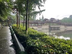 -重庆彩云湖湿地公园
