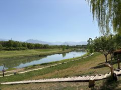 -洨河生态公园