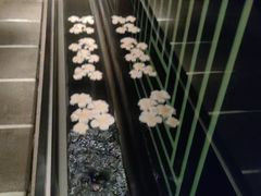 -Dragonfly悠庭·按摩Spa(静安嘉里中心店)