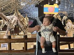 -世界恐龙谷景区