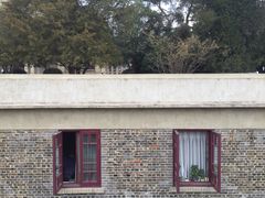 -武汉大学-樱园