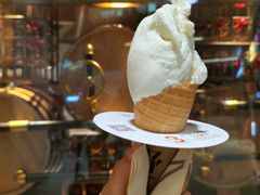 -野人先生现做冰淇淋(北京环宇荟店)