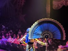 -珠海横琴长隆《卡卡虎奇遇记》