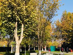 -春晖园度假酒店温泉