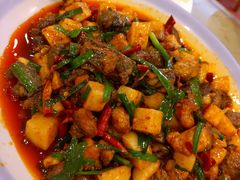 饵块鸡-红豆园(文林街店)