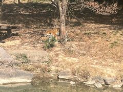 -宁波野生动物园