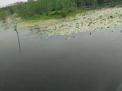 -景福宫韩国料理(恒祥北大街店)