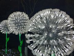 -金城公园
