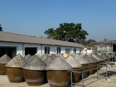 -苏州市吴中区光福窑上花果蜜饯厂