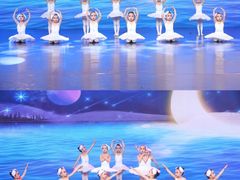 -星光舞蹈艺术中心•芭蕾舞•中国舞(太阳宫校区)