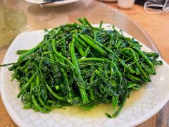 树菜-揭阳钟记小食(福田新村店)