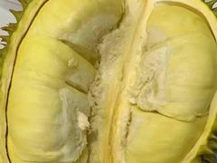 -蟹福家活蟹料理·豪华自助(绿洲假日酒店)