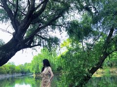 -贵阳市花溪国家城市湿地公园