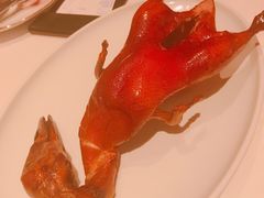 -东富酒家(龙湖西溪天街店)