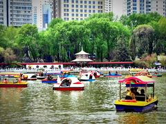 -西宁市人民公园(城西区)