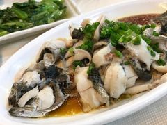 -荔枝楼酒家(员村东璟店)