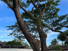 -石梅湾艾美度假酒店