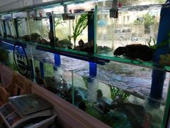 -富临港·蒸汽海鲜·手抓海鲜·炒菜(栈桥店)