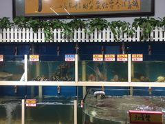 -鑫悦楼煎蟹·16年海鲜大排档