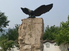 -北京鹫峰国家森林公园