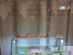 -秀儿家の小确幸融合西餐厅(万达店)