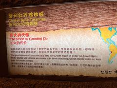 -香港海洋公园