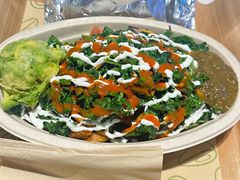 -油梨树 AVOCADO TREE(亮马桥店)