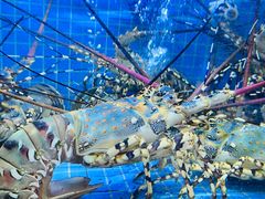 -海鲜e族(马王堆店)