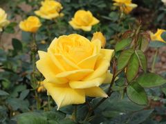 -人民公园(罗湖区)