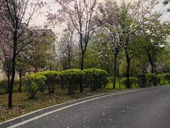 -广东花都湖国家湿地公园