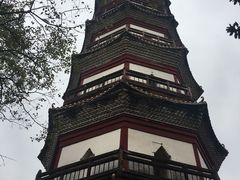 -分塔山省级森林公园