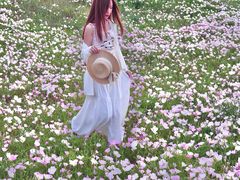 -汉长安城未央宫国家考古遗址公园