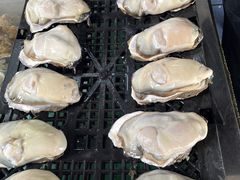 -南沙十九涌渔人码头-南门