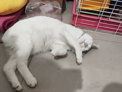 -来康盲人按摩(惠民北街店)