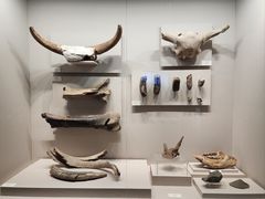 -齐齐哈尔市博物馆