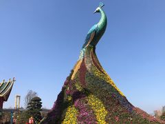 -七彩云南欢乐世界