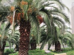 -苏州河梦清园环保主题公园