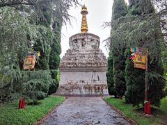 -云南民族村