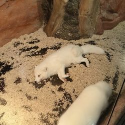 -Zoolung Zoolung动物主题公园(海信广场店)